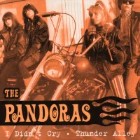 I Didn't Cry / Thunder Alley