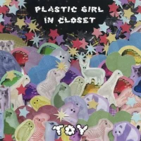 Toy