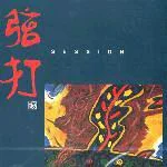 弦打 Session