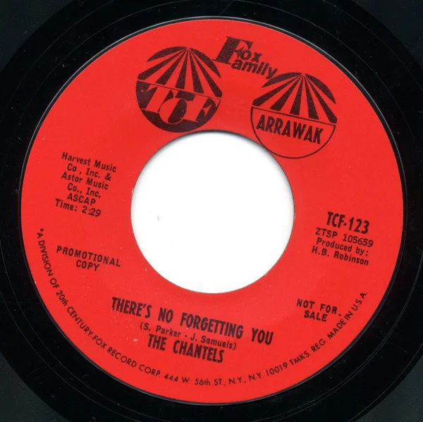 There's No Forgetting You / Take Me As I Am
