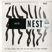 Nest