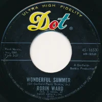 Wonderful Summer / Dream Boy