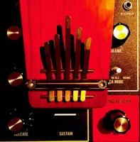 A Moog & A Kalimba