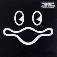 Cyboogie / Acarine