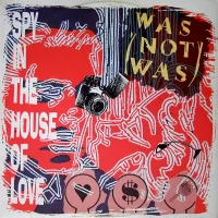 Spy In The House Of Love