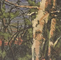 Asleep Many Years In The Wood