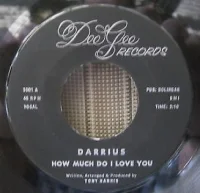 How Much Do I Love You / Lonely Boy