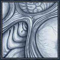 2020 Monthly Digital Single: Vesicular Distributor [June]
