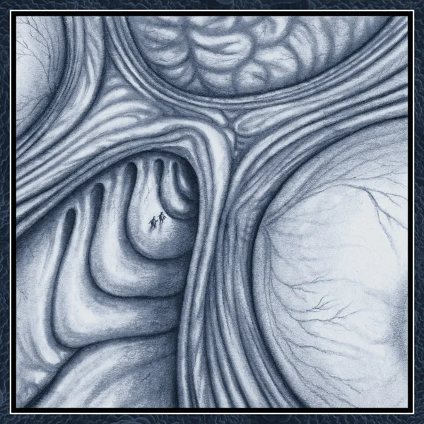 2020 Monthly Digital Single: Vesicular Distributor [June]