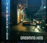 Dreaming Kind
