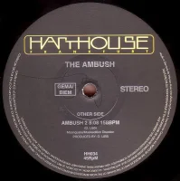 Ambush 2