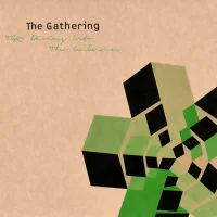TG25: Diving Into The Unknown