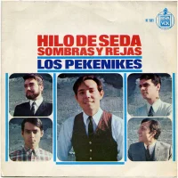 Hilo De Seda / Sombras Y Rejas