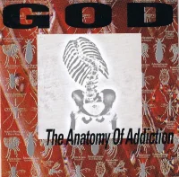 The Anatomy Of Addiction