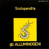 Scolopendra