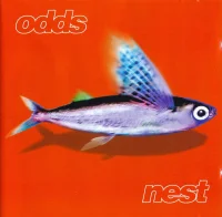 Nest