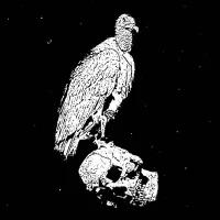 A Circle Of Vultures
