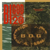 Bog