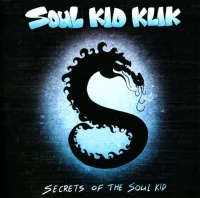 Secrets Of The Soul Kid