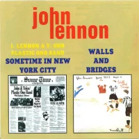 Sometime In New York City / Walls And Bridges