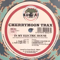 In My Electric House