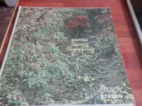 Spring Symphony