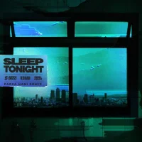 Sleep Tonight (Parsa Nani Remix)