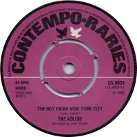 The Boy From New York City / Johnny My Boy