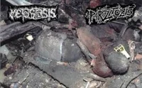 Metastasis / Parazitózis