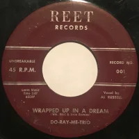 Wrapped Up In A Dream / Why Did You Do It Baby? (Why O-Why O-Why)