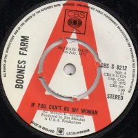 If You Can't Be My Woman