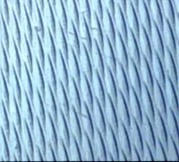 DS