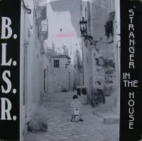 Stranger In The House