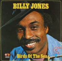 Birds Of The Sea
