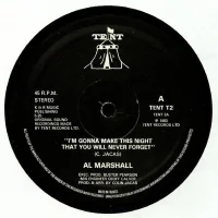 I'm Gonna Make This Night That You Will Never Forget