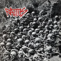 Rattus