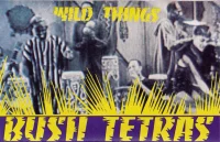 Wild Things