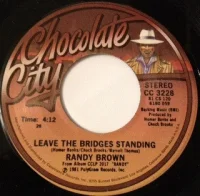 Leave The Bridges Standing