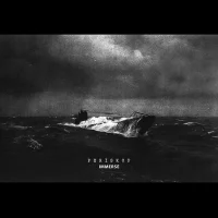 Immerse