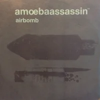 Airbomb