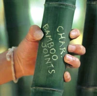 Bamboo Joints