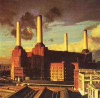 Animals