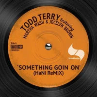 Something Going On (HaNi ReMix)