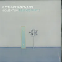 Momentum (Remixes Part 2)