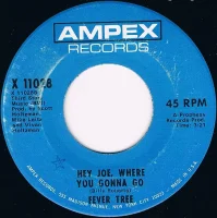 I Put A Spell On You / Hey Joe, Where You Gonna Go