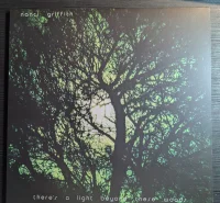 There's A Light Beyond These Woods