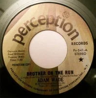 Brother On The Run