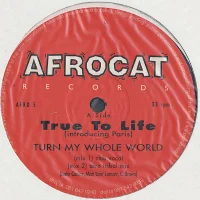 Turn My Whole World