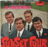Wie Schön Für Ihn / Im Abendwind