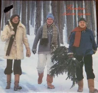 Liikettä Lapasiin